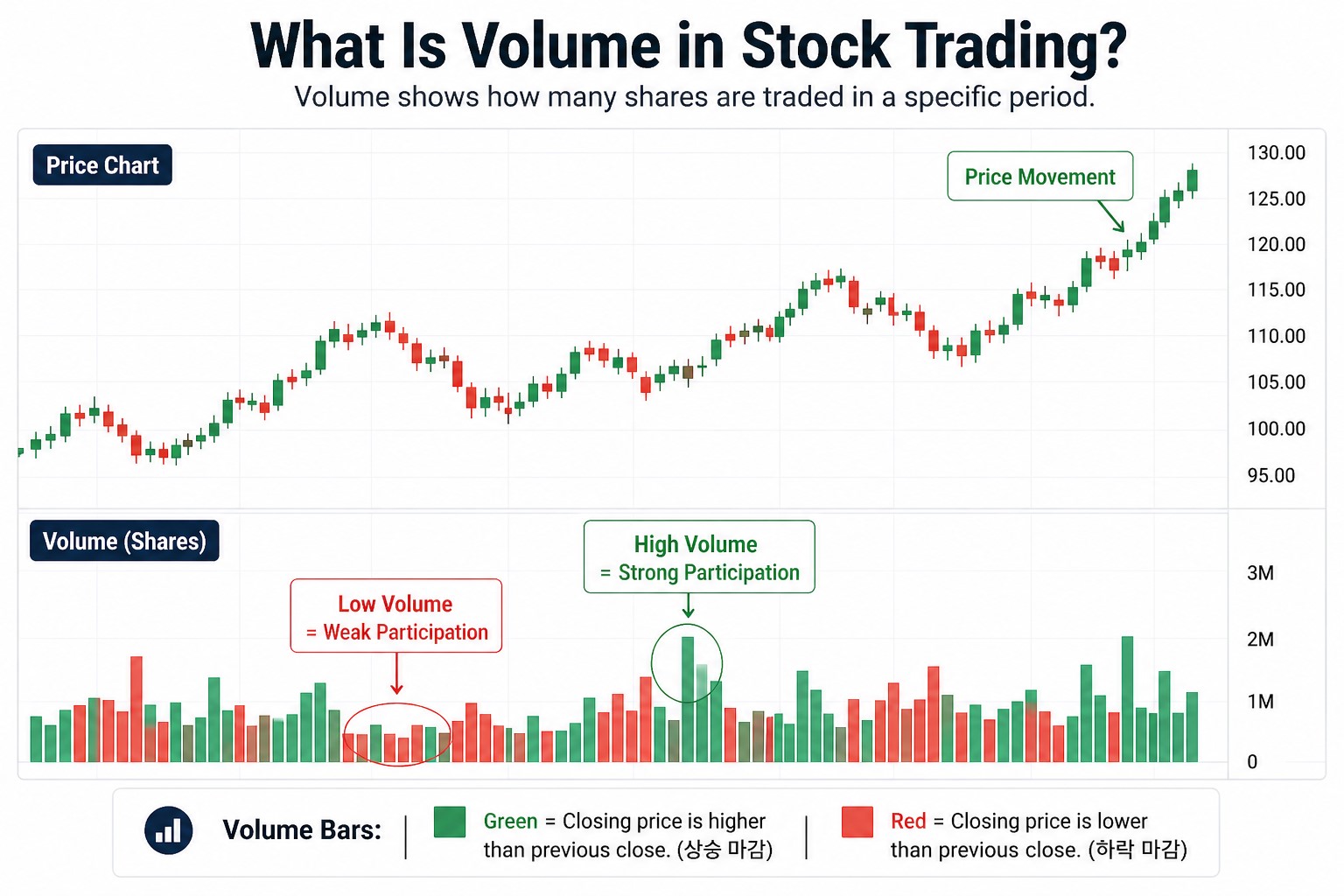 How to read volume in stock trading with volume bars showing high and low trading activity
